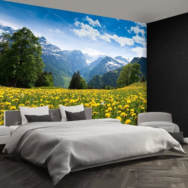 Fototapeta Vliesová Mliečia hory 250x104 cm