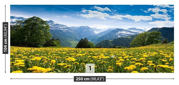Fototapeta Vliesová Mliečia hory 250x104 cm