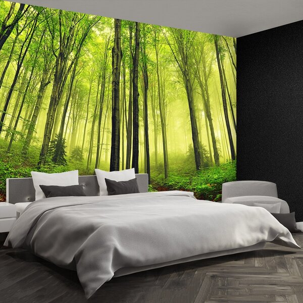 Fototapeta Vliesová Hmla les 104x70 cm