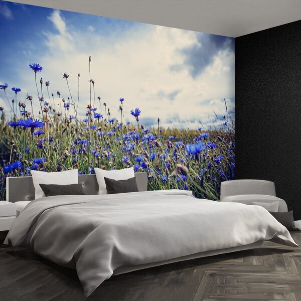 Fototapeta Vliesová Nevädze 250x104 cm