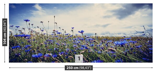 Fototapeta Vliesová Nevädze 250x104 cm