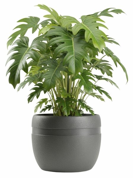 PLASTOVÝ KVETINÁČ LUNA CLASSIC 40X32 CM ANTRACITOVÁ
