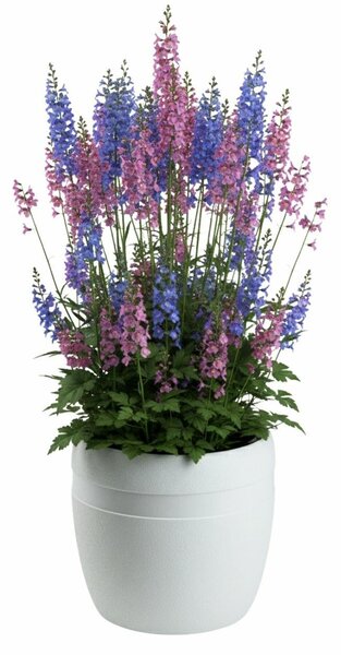 PLASTOVÝ KVETINÁČ LUNA CLASSIC 33X30 CM BIELA
