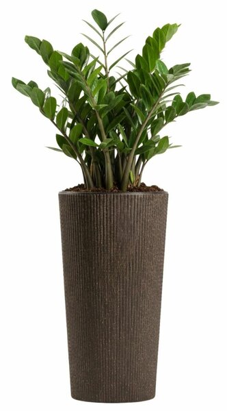 PLASTOVÝ KVETINÁČ URBANIKA ECO 36,5X19,5 CM TMAVOHNEDÁ