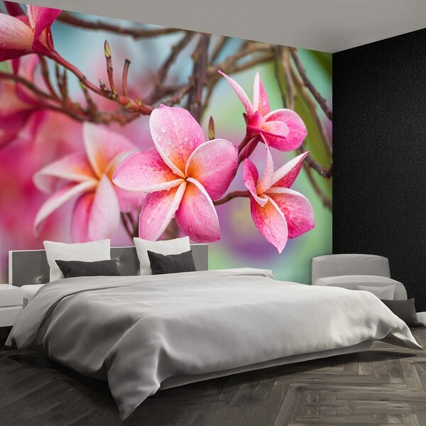 Fototapeta Vliesová Kríky ružová 104x70 cm