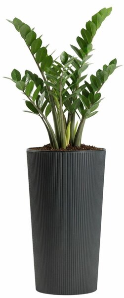 PLASTOVÝ KVETINÁČ URBANIKA ECO 46,5X25,5 CM ANTRACITOVÁ