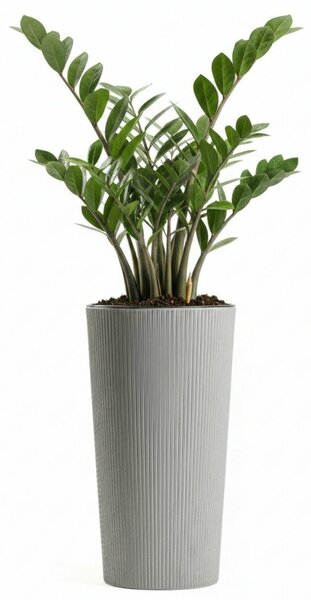 PLASTOVÝ KVETINÁČ URBANIKA ECO 36,5X19,5 CM SIVÁ