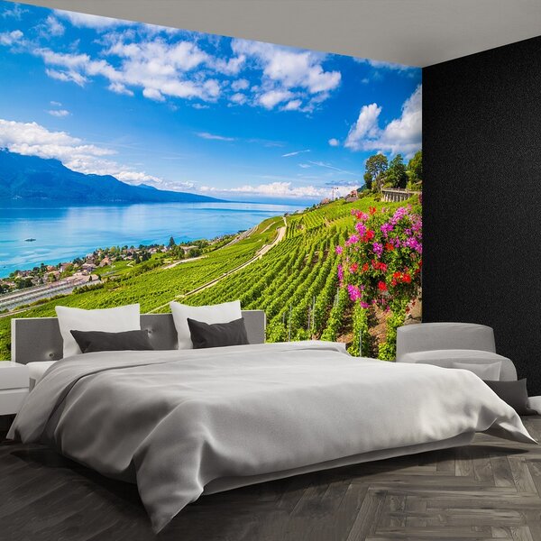Fototapeta Vliesová Vinice tarasy 104x70 cm