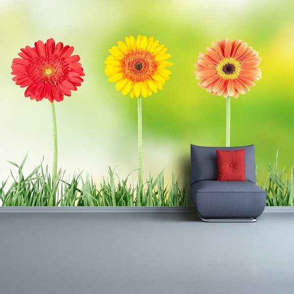 Fototapeta Vliesová Gerbera 104x70 cm