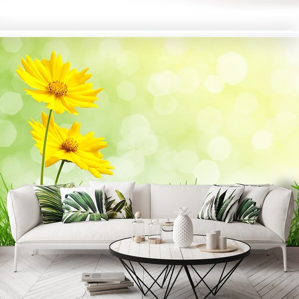 Fototapeta Vliesová Žlté kvety 250x104 cm