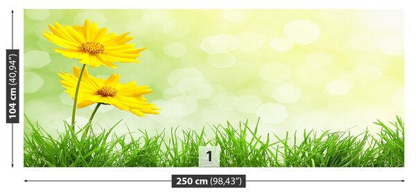 Fototapeta Vliesová Žlté kvety 250x104 cm