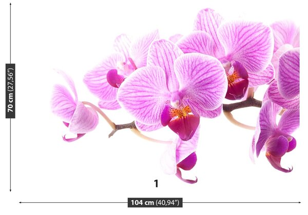 Fototapeta Vliesová Ružová orchidea 104x70 cm