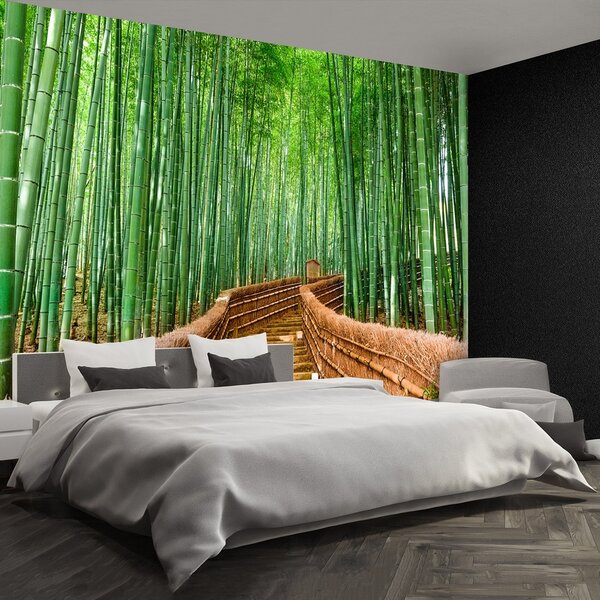 Fototapeta Vliesová Bambusové lesy 152x104 cm
