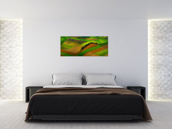 Obraz - Polia, lúky (120x50 cm)