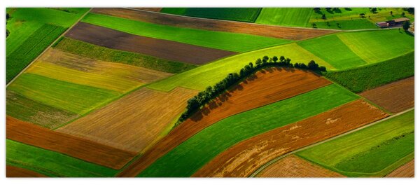 Obraz - Polia, lúky (120x50 cm)