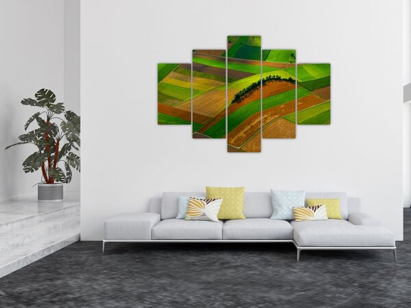 Obraz - Polia, lúky (150x105 cm)