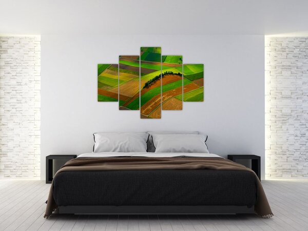 Obraz - Polia, lúky (150x105 cm)