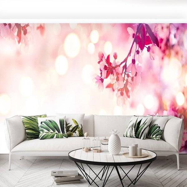 Fototapeta Vliesová Čerešňové kvety 104x70 cm