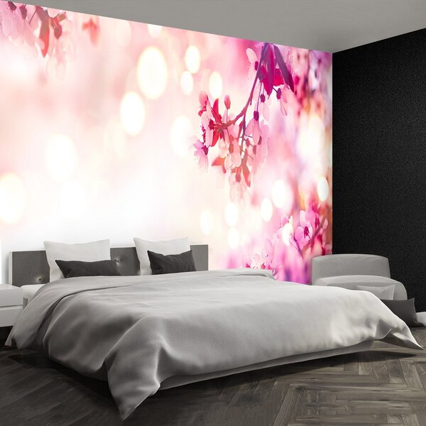 Fototapeta Vliesová Čerešňové kvety 104x70 cm