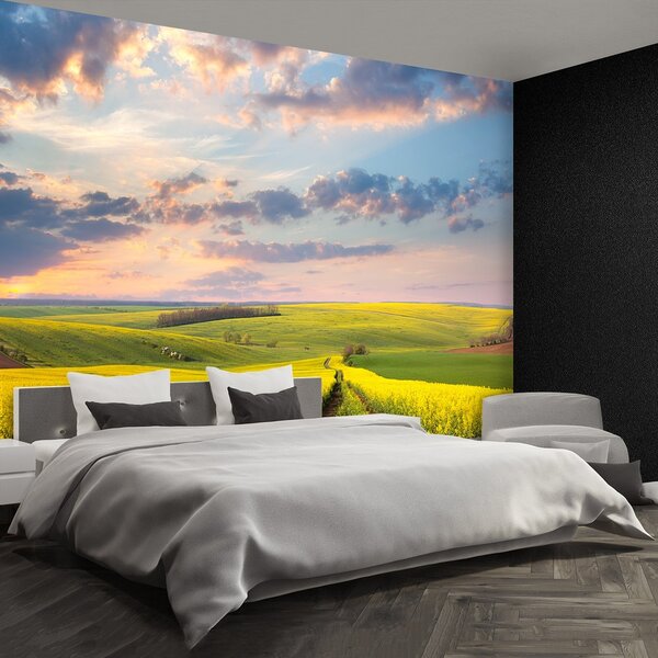 Fototapeta Vliesová Kvitnúce pole 152x104 cm