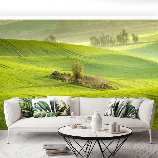 Fototapeta Vliesová Kukuričné pole 104x70 cm