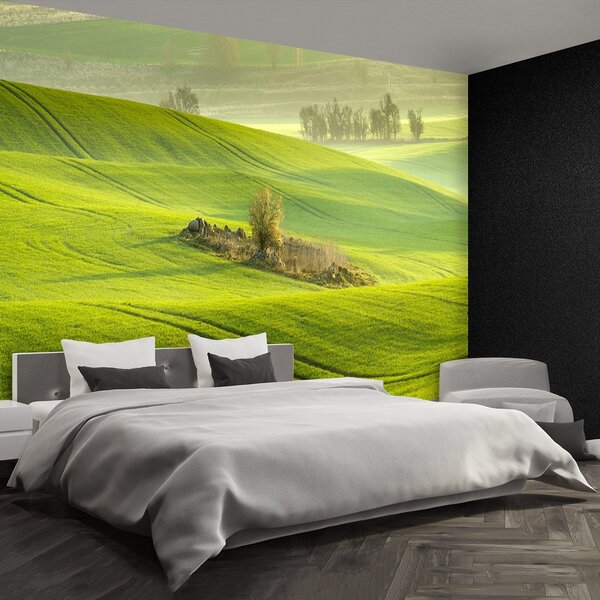 Fototapeta Vliesová Kukuričné pole 104x70 cm