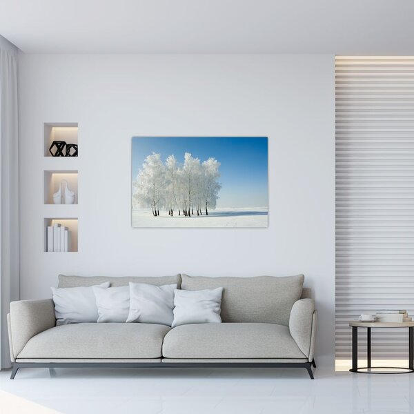 Obraz zasneženej krajiny (90x60 cm)