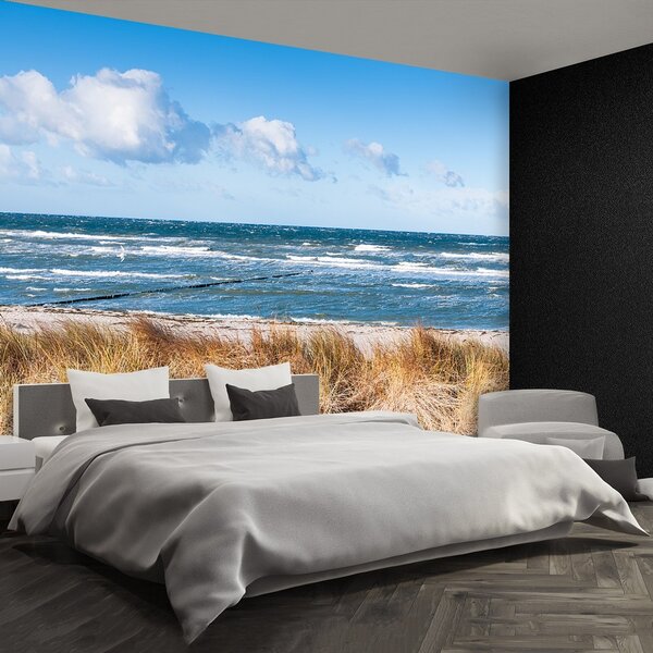 Fototapeta Vliesová Piesočné duny 250x104 cm