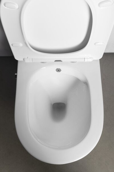 Sapho Sapho, PACO CLEANWASH WC kombi misa, integrovaná batéria a bidetová spŕška, spodný/zadný, biela, PC1012RX