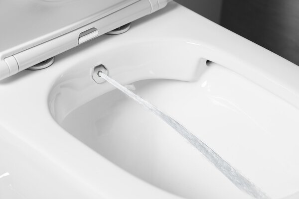 Sapho Sapho, PACO CLEANWASH WC kombi misa, integrovaná batéria a bidetová spŕška, spodný/zadný, biela, PC1012RX
