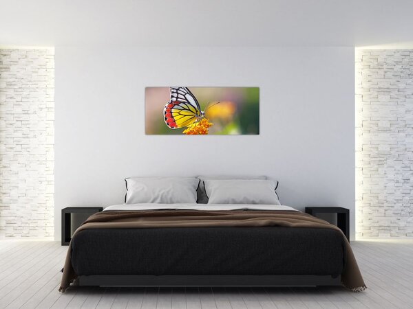 Obraz motýľa na kvete (120x50 cm)
