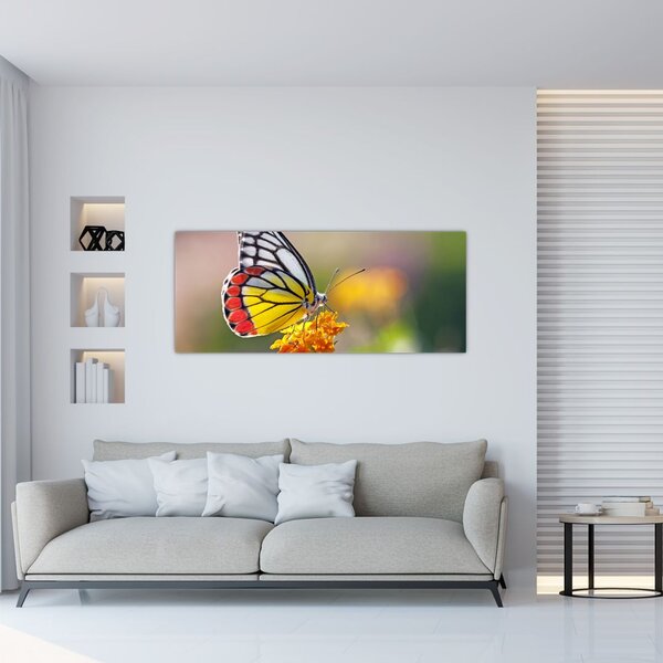 Obraz motýľa na kvete (120x50 cm)