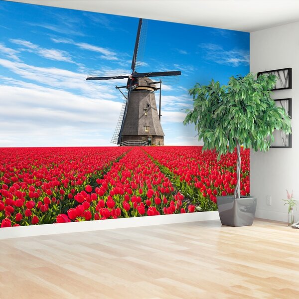 Fototapeta Vliesová Veterný mlyn tulipány 152x104 cm