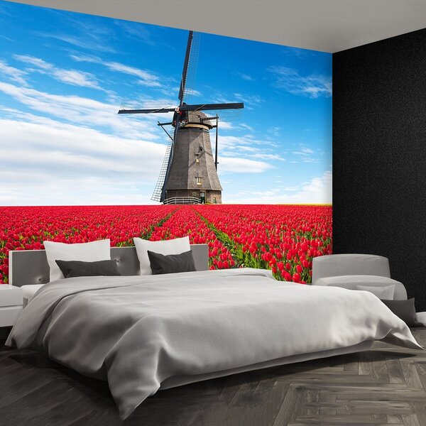 Fototapeta Vliesová Veterný mlyn tulipány 152x104 cm