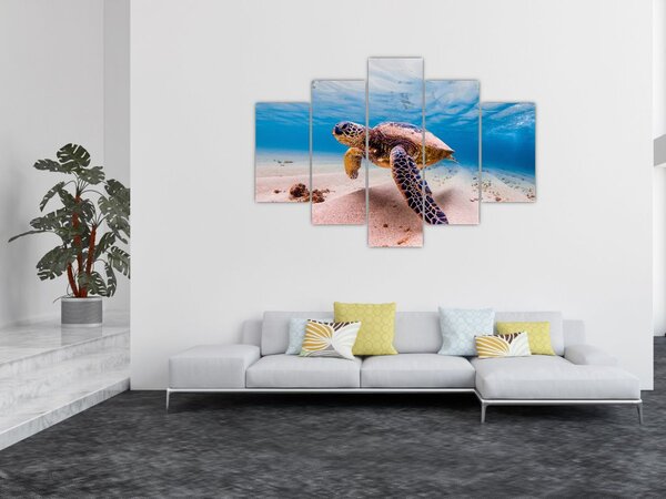 Obraz korytnačky v oceáne (150x105 cm)