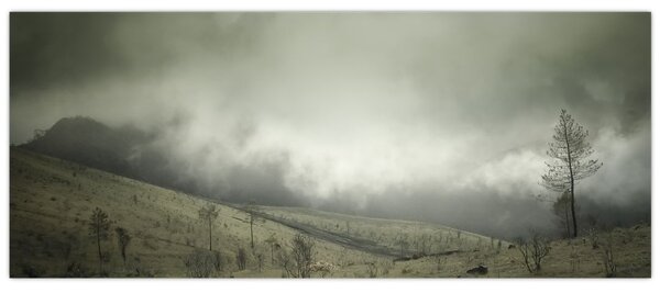 Obraz krajiny pred búrku (120x50 cm)