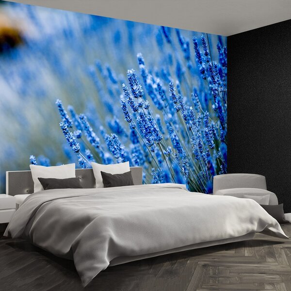 Fototapeta Vliesová Modrá levandule 104x70 cm