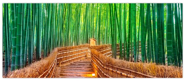 Obraz - Japonský bambusový les (120x50 cm)