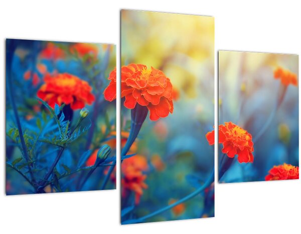 Obraz - Oranžové kvety (90x60 cm)