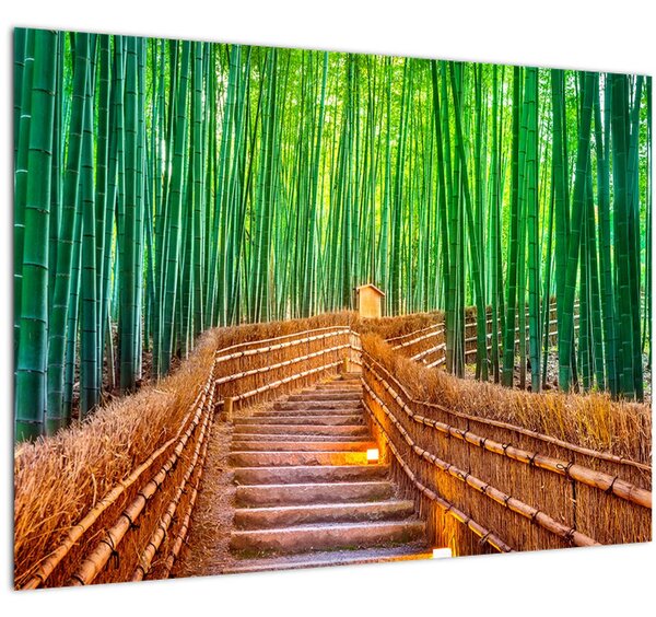 Sklenený obraz - Japonský bambusový les (70x50 cm)