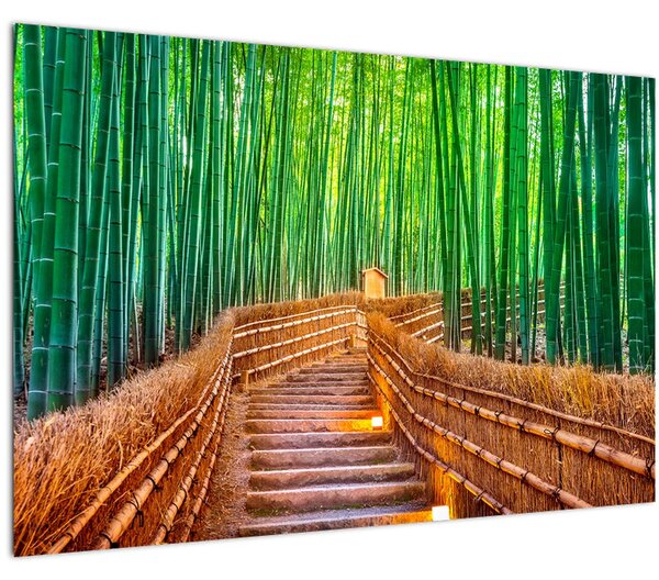 Obraz - Japonský bambusový les (90x60 cm)