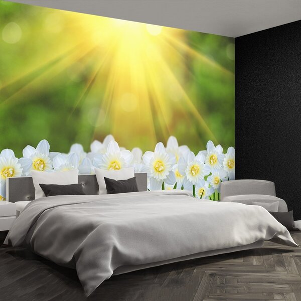 Fototapeta Vliesová Biely narcis 104x70 cm