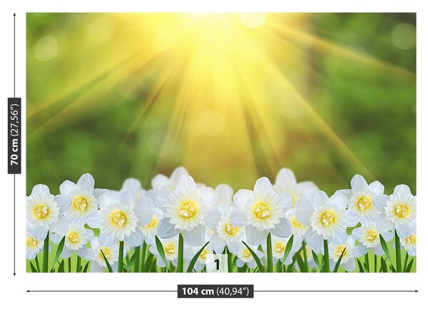 Fototapeta Vliesová Biely narcis 104x70 cm