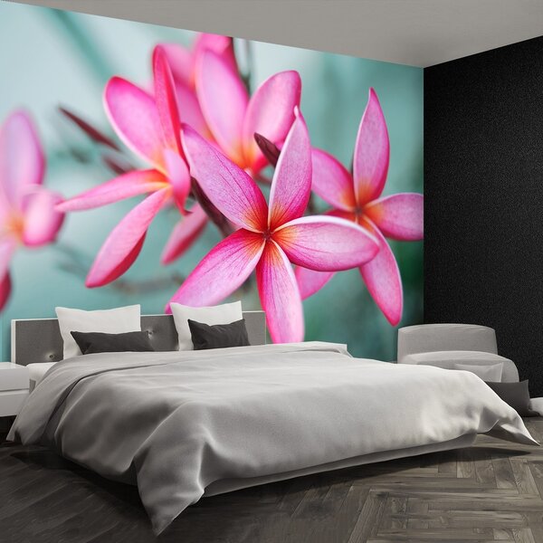 Fototapeta Vliesová Pink plumeria 104x70 cm