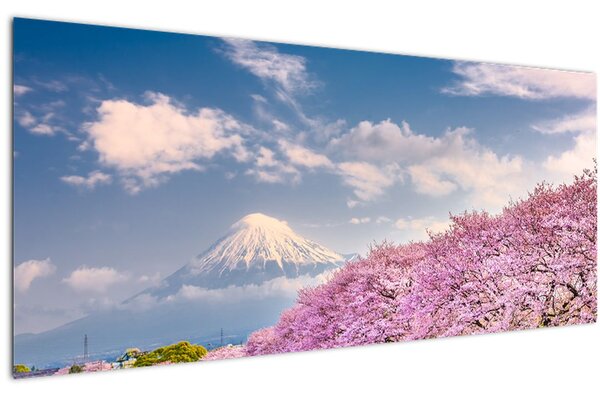 Obraz - Japonská jarná krajina (120x50 cm)