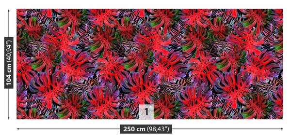 Fototapeta Vliesová Monstera deravá 250x104 cm