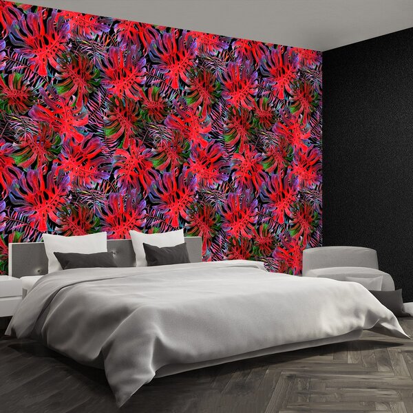 Fototapeta Vliesová Monstera deravá 250x104 cm