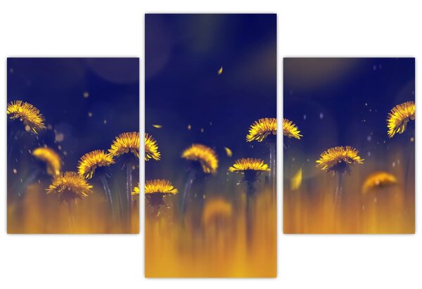 Obraz - Púpavy (90x60 cm)