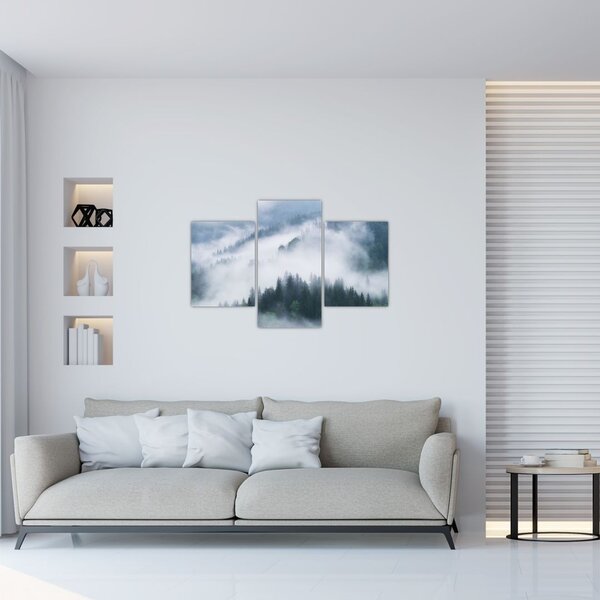 Obraz - Stromy v hmle (90x60 cm)