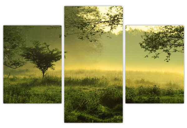 Obraz - Prebúdzajúci sa les (90x60 cm)